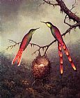 Martin Johnson Heade Canvas Paintings - Two Hummingbirds Garding an Egg